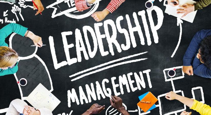 Leadership and Management in Different Arts and Fields